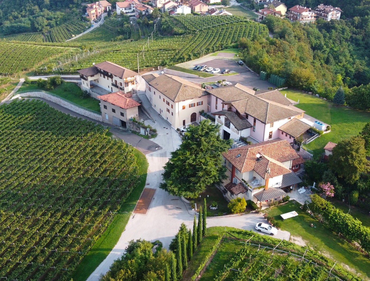 WINE TOUR IN E-BIKE - CANTINE MOSER tutti i giovedì da € 100