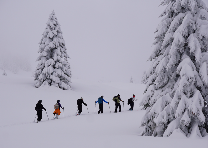 SCIALPINISMO IN NOTTURNA